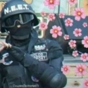 Meet your Posher, Tomas